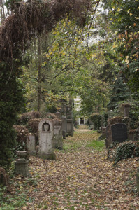 Jüdische Friedhof breslau